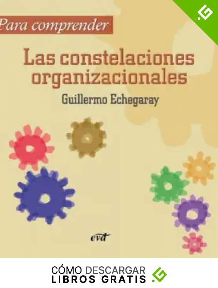 Para comprender las constelaciones organizacionales