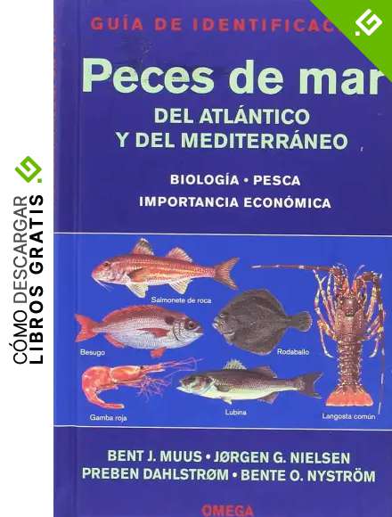 PECES DE MAR. GUIA DE IDENTIFICACION (GUIAS DEL NATURALISTA-PECES-MOLUSCOS-BIOLOGIA MARINA)