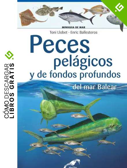 Peces pel&aacute;gios y de fonsos profundos del mar balear (Miniguies del Mar Balear  Marilles)