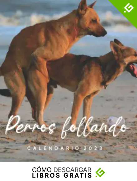 Perros follando Calendario: Calendario 2023 - 8.5''x8.5'' - Regalos para familiares y amigas amigos