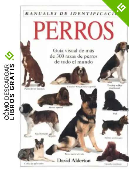 PERROS. MANUAL DE IDENTIFICACION (GUIAS DEL NATURALISTA-ANIMALES DOMESTICOS-PERROS)