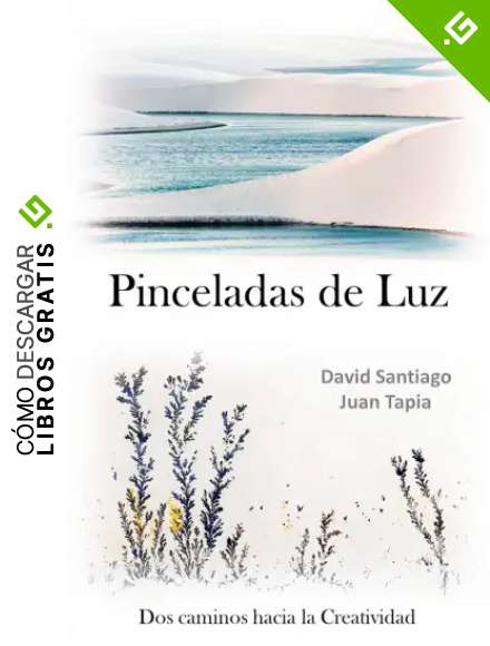 PINCELADAS DE LUZ