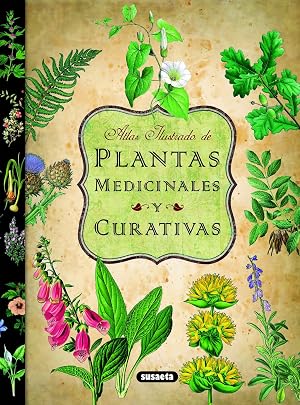 Plantas Medicinales Y Curativas (Atlas Ilustrado)
