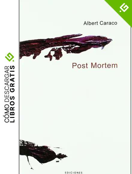 Post mortem: 49 (El Peso de los D&iacute;as)