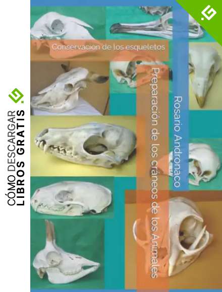 Preparaci&oacute;n de los cr&aacute;neos de los Animales: Conservaci&oacute;n de los esqueletos (Pieles, taxidermia, cr&aacute;neos, mam&iacute;feros)
