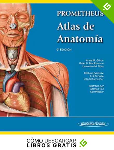 Prometheus. Atlas de anatomia