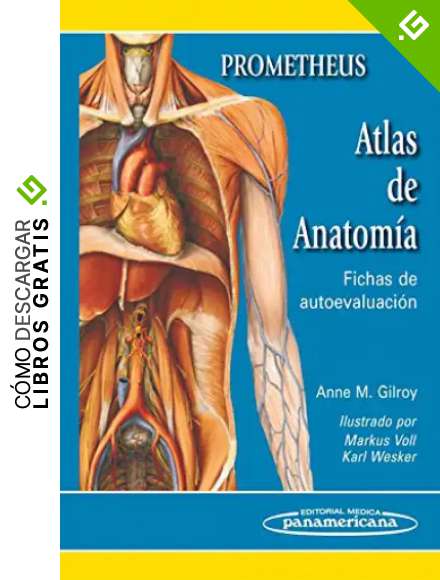 Prometheus. Atlas de anatomia: Fichas de autoevaluaci&oacute;n