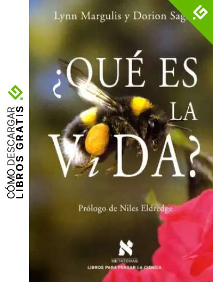&iquest;Qu&eacute; es la vida? (Metatemas)