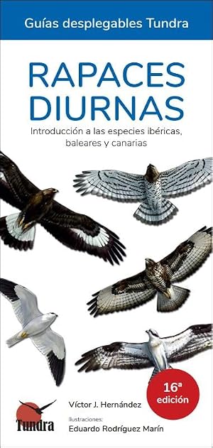 RAPACES DIURNAS Edi. 16 (edici&oacute;n Castellano)
