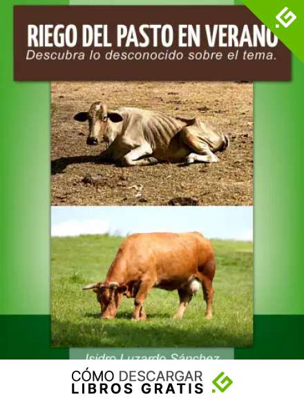 Riego del Pasto en Verano: Descubra lo desconocido sobre el tema
