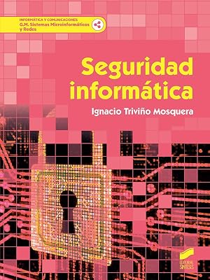 Seguridad inform&aacute;tica: 60 (Inform&aacute;tica y comunicaciones)