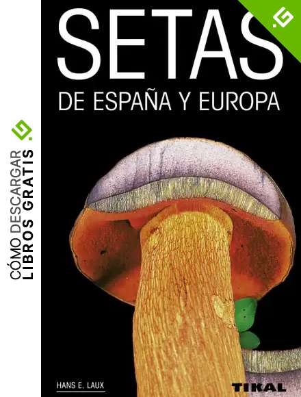 Setas de Espa&ntilde;a y Europa