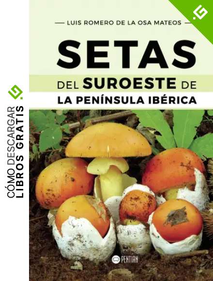 Setas del Suroeste de la Pen&iacute;nsula Ib&eacute;rica