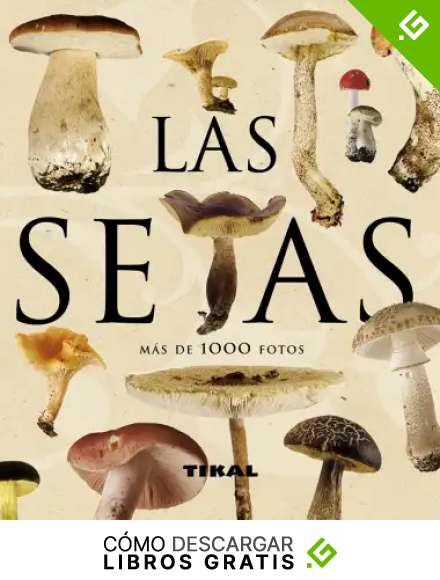 Setas (Enciclopedia Universal)
