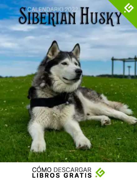 Siberian Husky Calendario 2022: Calendario 2022 8.5''x8.5'' - Regalos para familiares y amigas amigos - Animales divertidos