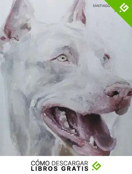Sin fin. Santiago Yd&aacute;&ntilde;ez (Cat&aacute;logos)