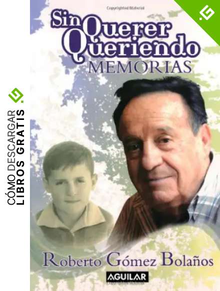 Sin querer queriendo / I Didn't Mean to