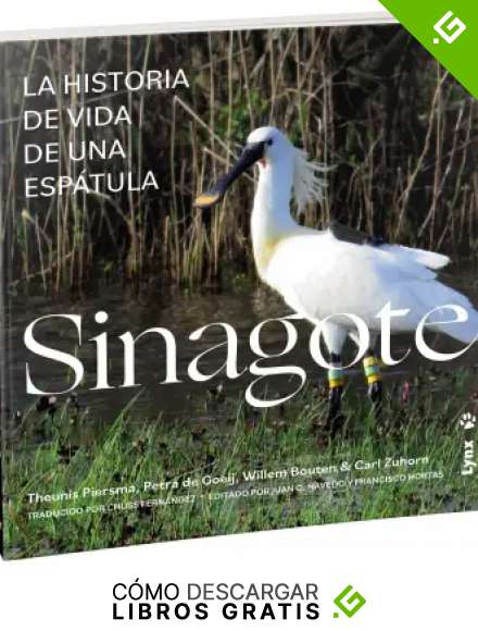 Sinagote, la historia de vida de una esp&aacute;tula