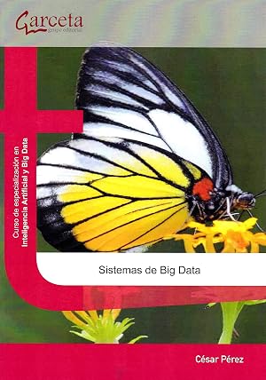 Sistemas de Big Data: Sistemas de Big Data (SIN COLECCION)