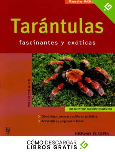 Tar&aacute;ntulas (Mascotas en casa)