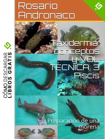 Taxidermia: conceptos y VOL T&Eacute;CNICA. 3 Piscis: Preparaci&oacute;n de una morena