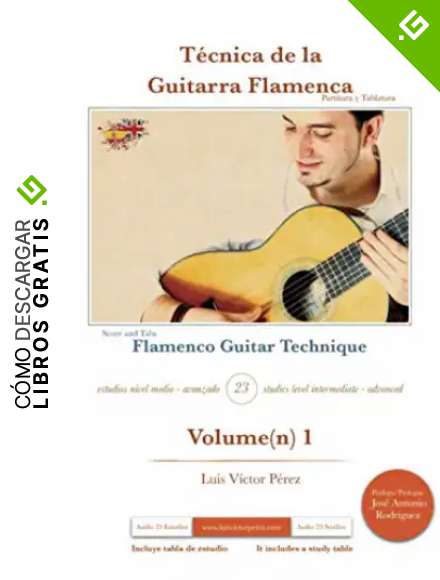 T&eacute;cnica de la Guitarra Flamenca: Flamenco Guitar Technique