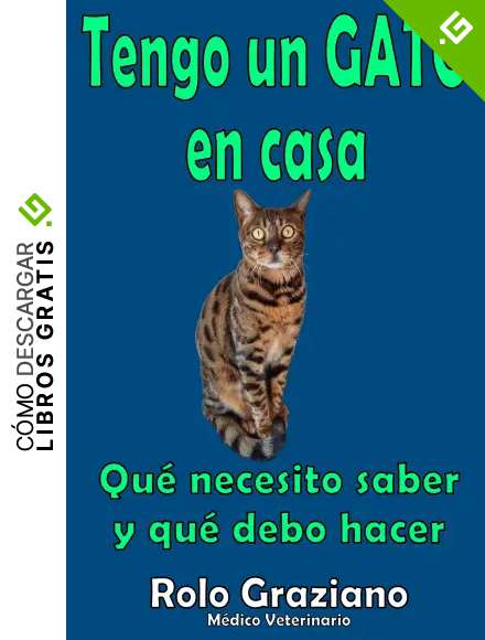 Tengo un GATO en casa: Qu&eacute; necesito saber y qu&eacute; debo hacer (Veterinario de perros y gatos)