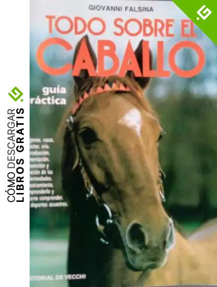Todo sobre el caballo