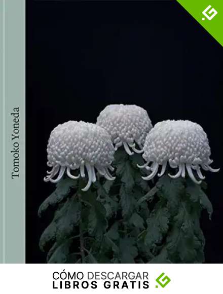 TOMOKO YONEDA (CATALOGO DE EXPOSICION)