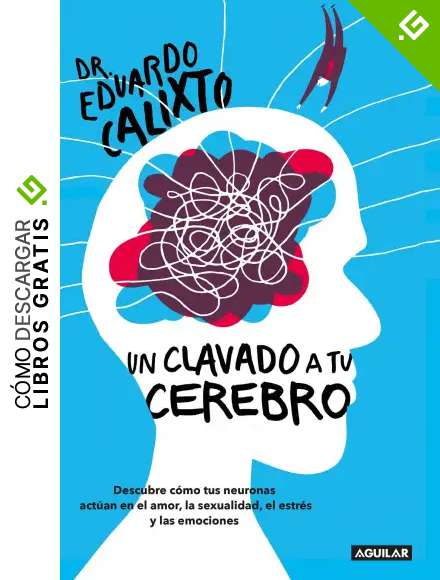 Un clavado a tu cerebro / Take a Dive Into Your Brain