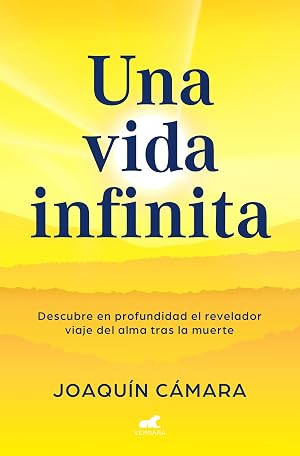 Una vida infinita: Descubre en profundidad el revelador viaje del alma tras la muerte