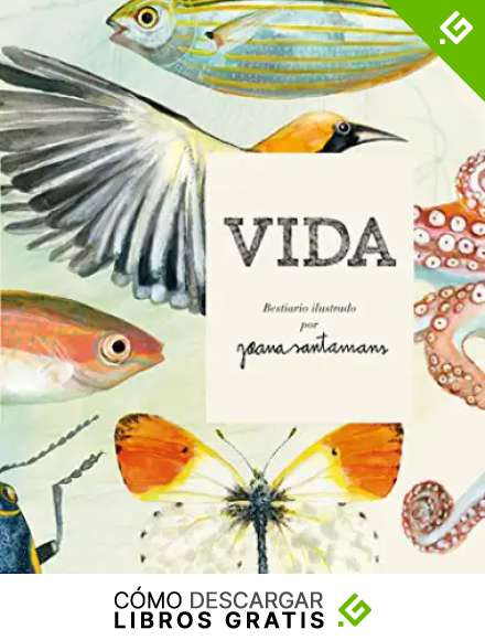 Vida. Bestiario ilustrado por Joana Santamans: 4 (Bridge)