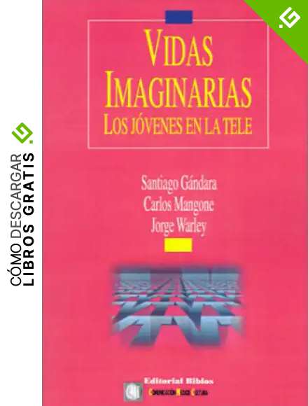 Vidas Imaginarias: Los Jovenes En La Tele