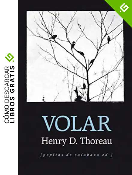 Volar