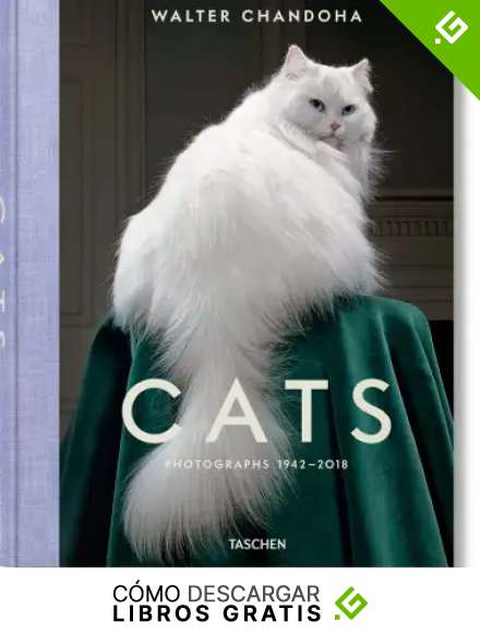 Walter Chandoha Cats Photographs 1942 2018