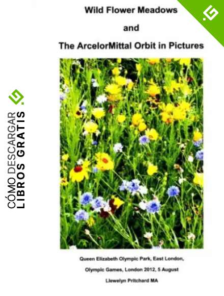 Wild Flower Meadows and The ArcelorMittal Orbit in Pictures: Volume 18 (Album de Fotos)