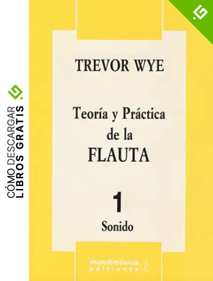WYE - Teoria y Practica de la Flauta 1&ordm;: Sonido