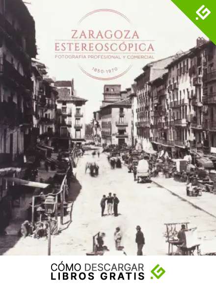 Zaragoza estereosc&oacute;pica. Fotograf&iacute;a profesional y comercial 1850-1970 (Cat&aacute;logos Paraninfo)